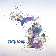 Michigan State Flower (Apple Blossom)