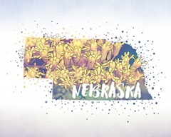 Nebraska State Flower (Goldenrod)