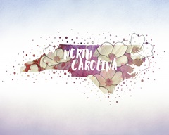 North Carolina State Flower (American Dogwood)