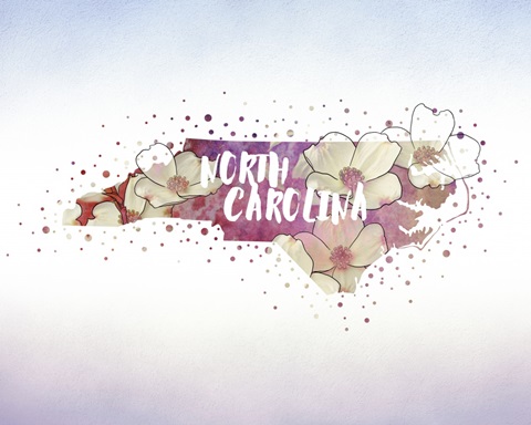 North Carolina State Flower (American Dogwood)