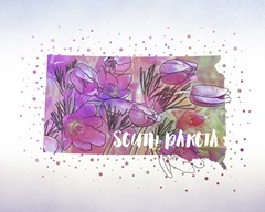 South Dakota State Flower (American Pasque)