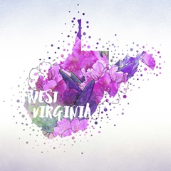 West Virginia State Flower (Big Laurel)