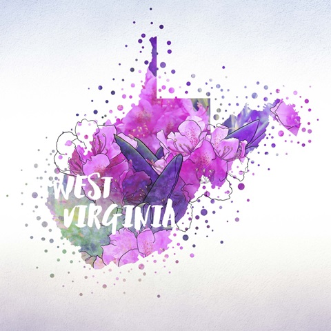 West Virginia State Flower (Big Laurel)