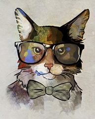 Call Me Professor Meow