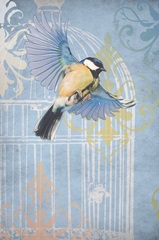 Flying Free II