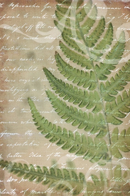 Fern in the Countryside