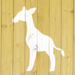 Giraffe - Zoo Animal Shape