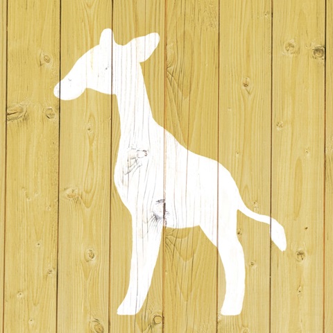 Giraffe - Zoo Animal Shape