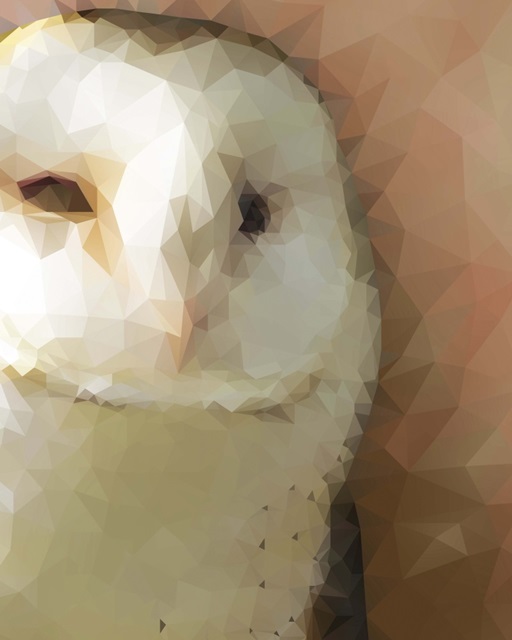 Owl - Low Poly