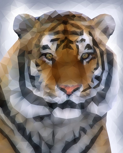 Tiger - Low Poly