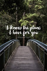I Know The Plans I Have For You - Scripture