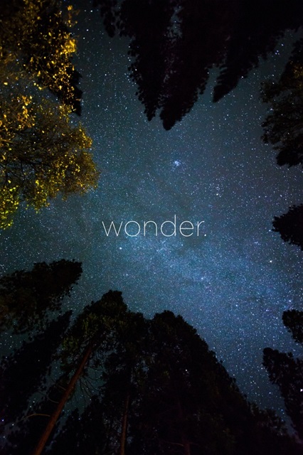Wonder - Zen