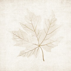 Fall Impressions II