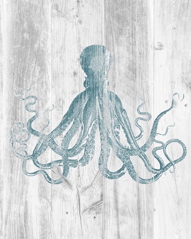 Vintage Octopus