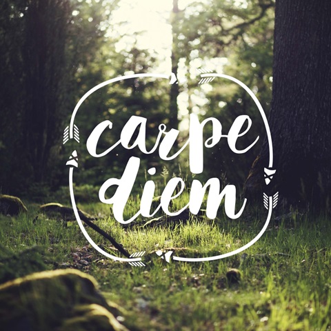 Carpe Diem - Sentiment