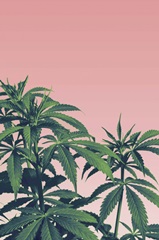 Minimalist Pastel II