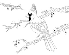 Cardinal