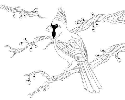 Cardinal