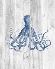 Indigo Octopus