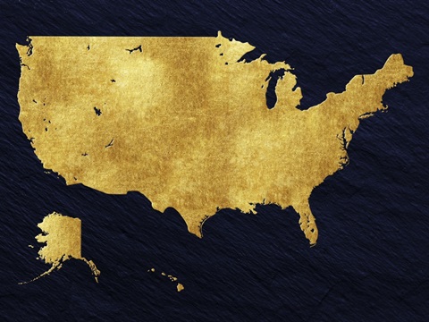Gold Foil US Map