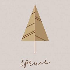 Mid Century - Tree - Spruce