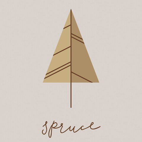Mid Century - Tree - Spruce