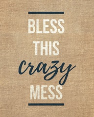 Family Quotes - Bless This Crazy Mess