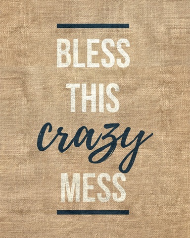 Family Quotes - Bless This Crazy Mess