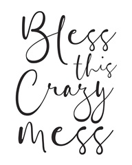 Family Quotes - Bless This Crazy Mess