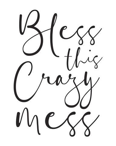 Family Quotes - Bless This Crazy Mess