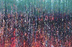 Color Fields Combine