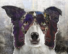 Pop Art - Border Collie