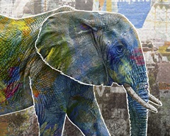 Pop Art - Elephant