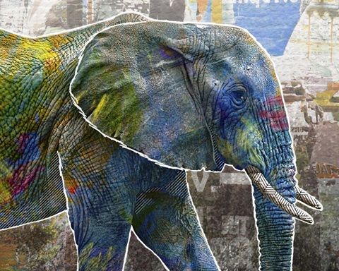 Pop Art - Elephant