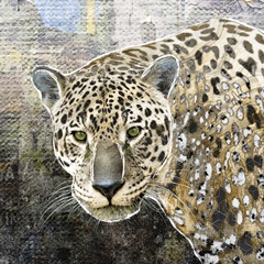Pop Art - Jaguar