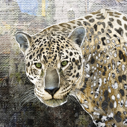 Pop Art - Jaguar