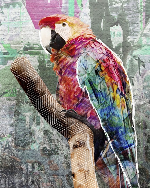 Pop Art - Parrot