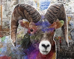 Pop Art - Ram