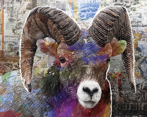 Pop Art - Ram