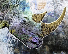 Pop Art - Rhino