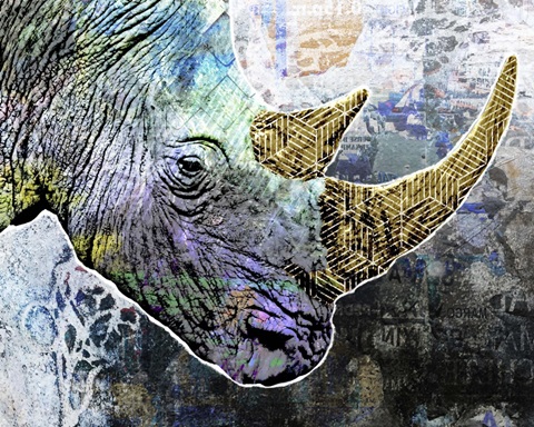 Pop Art - Rhino