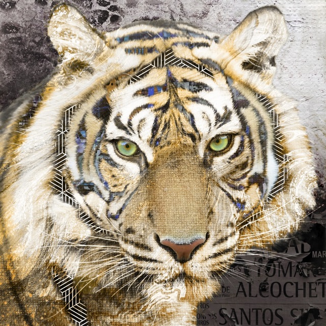 Pop Art - Tiger