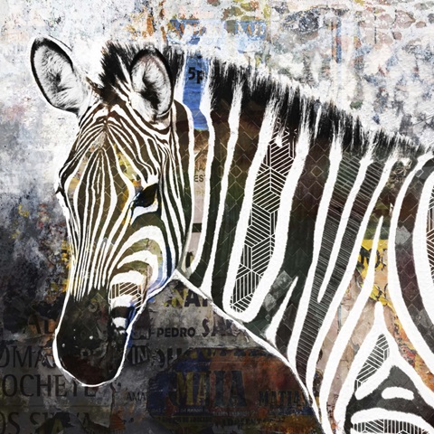 Pop Art - Zebra