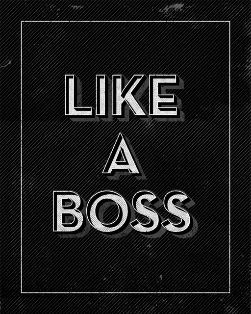 Like A Boss