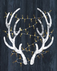 Antlers & Lights