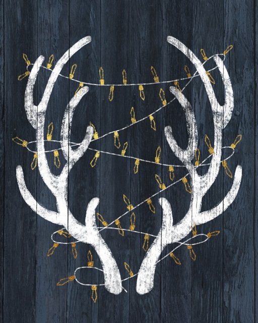 Antlers & Lights