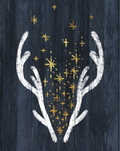 Antlers & Magic