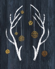 Antlers & Ornaments