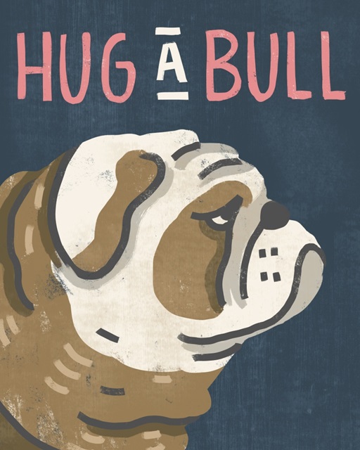 Hug A Bull