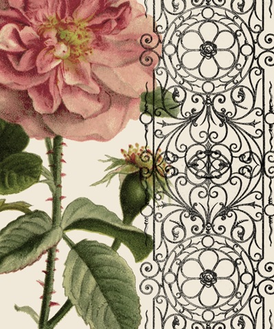 Bloom and Bee Collection C